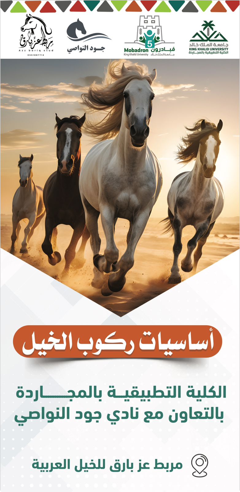 أساسيات ركوب الخيل